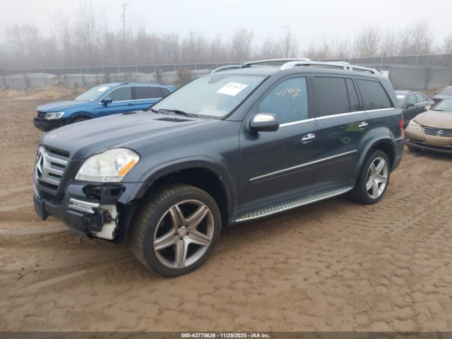 2010 MERCEDES-BENZ GL 550 4JGBF8GE0AA580610 Photo 1