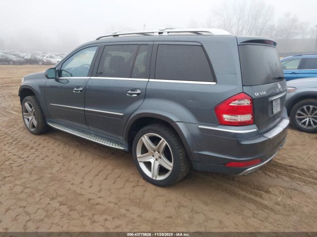 2010 MERCEDES-BENZ GL 550 4JGBF8GE0AA580610 Photo 2