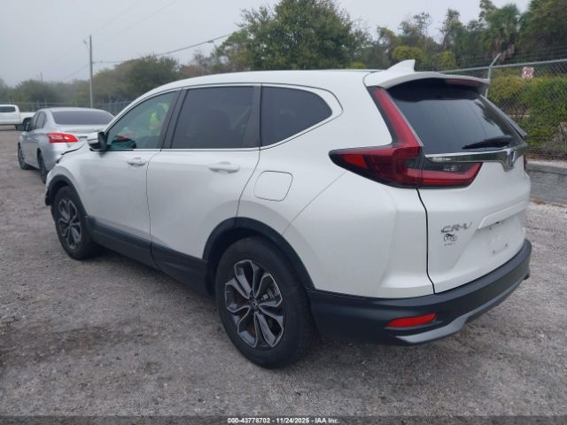2020 HONDA CR-V 5J6RW1H51LL011971 Photo 2