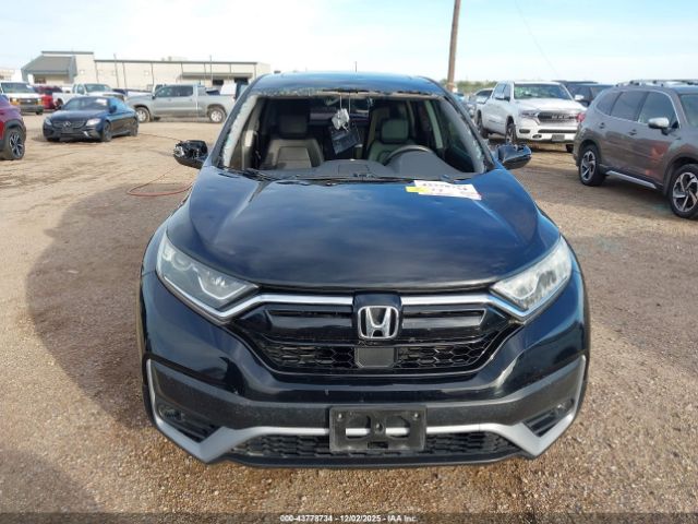 2020 HONDA CR-V 5J6RW1H8XLA008301 Photo 5