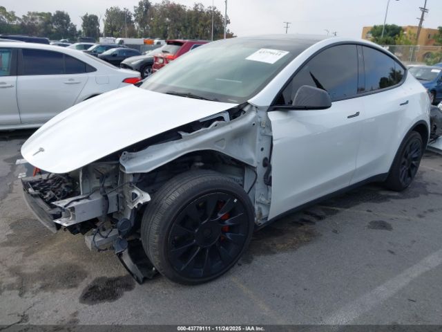 2022 TESLA MODEL Y 7SAYGDEE8NF386043 Photo 1