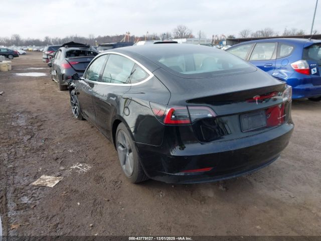 2020 TESLA MODEL 3 5YJ3E1EB0LF795667 Photo 2
