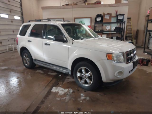2009 FORD ESCAPE 1FMCU93729KB02105