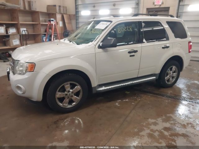 2009 FORD ESCAPE 1FMCU93729KB02105 Photo 1