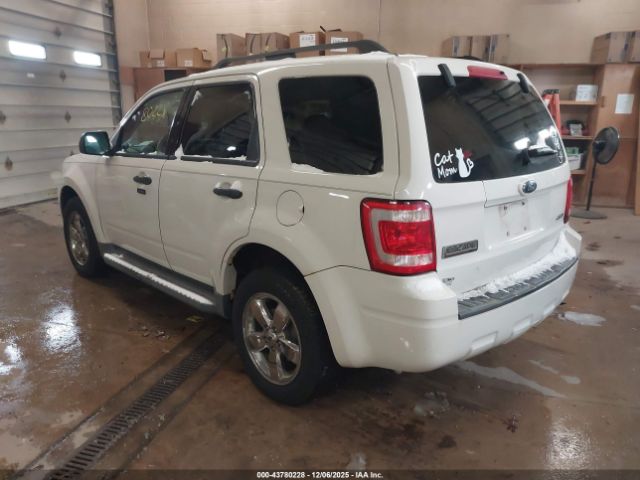 2009 FORD ESCAPE 1FMCU93729KB02105 Photo 2