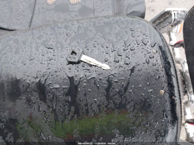 2002 YAMAHA XVS1100 JYAVP11E82A022371 Photo 10