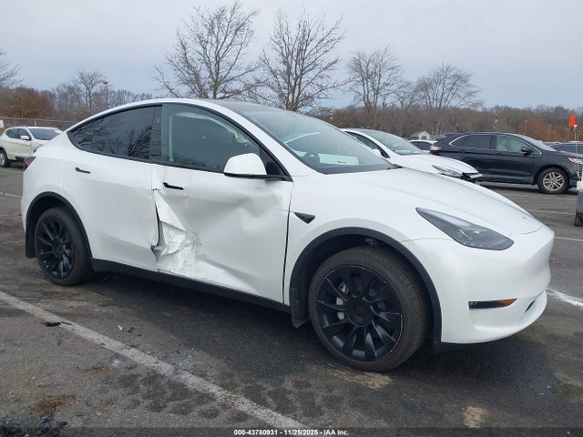 2025 TESLA MODEL Y 7SAYGDEE7SA340812 Photo 5