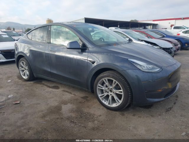 2021 TESLA MODEL Y 5YJYGDEE7MF094962