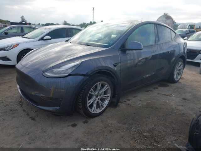 2021 TESLA MODEL Y 5YJYGDEE7MF094962 Photo 1