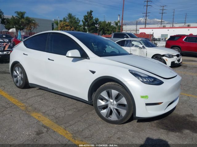 2023 TESLA MODEL Y 7SAYGDEF5PA048656