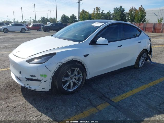2023 TESLA MODEL Y 7SAYGDEF5PA048656 Photo 1