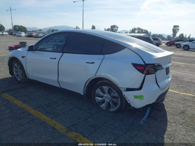 2023 TESLA MODEL Y 7SAYGDEF5PA048656 Photo 2