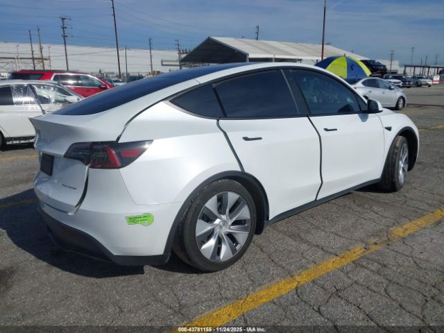2023 TESLA MODEL Y 7SAYGDEF5PA048656 Photo 3
