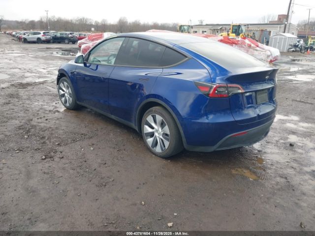 2023 TESLA MODEL Y 7SAYGDEE6PA145968 Photo 2
