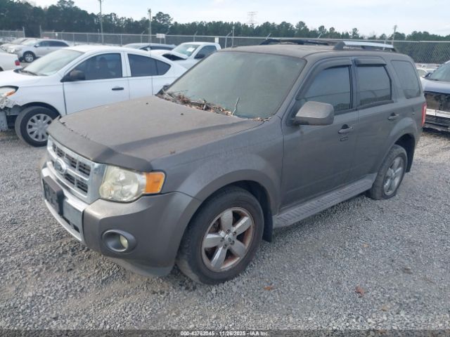 2009 FORD ESCAPE 1FMCU04799KA03663 Photo 1