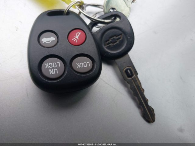 1999 CHEVROLET CORVETTE 1G1YY22G9X5106423 Photo 10