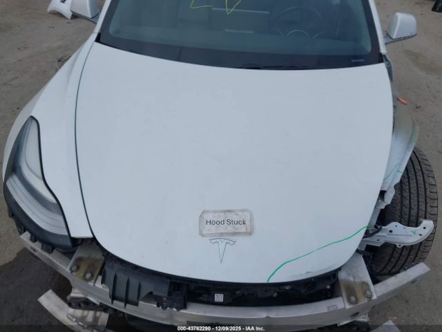 2019 TESLA MODEL 3 5YJ3E1EB3KF359586 Photo 9