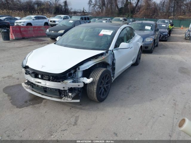 2019 TESLA MODEL 3 5YJ3E1EB3KF359586 Photo 1