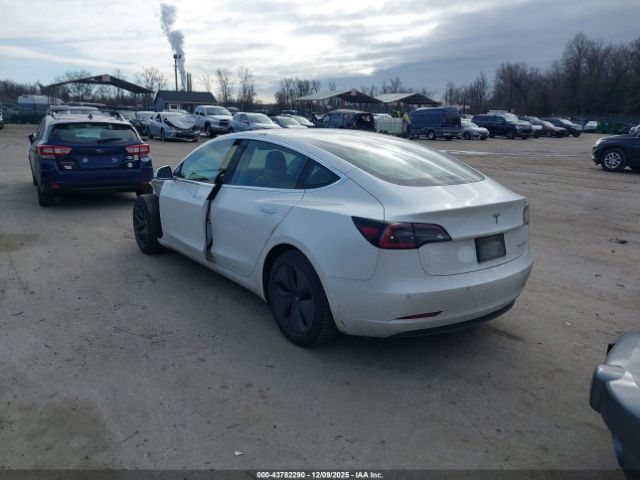 2019 TESLA MODEL 3 5YJ3E1EB3KF359586 Photo 2