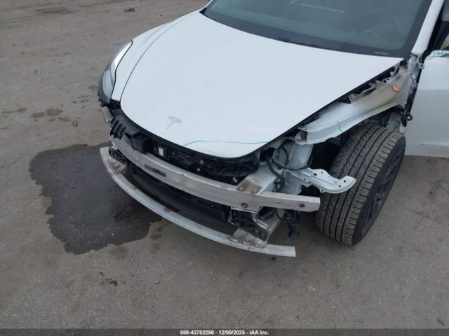 2019 TESLA MODEL 3 5YJ3E1EB3KF359586 Photo 5