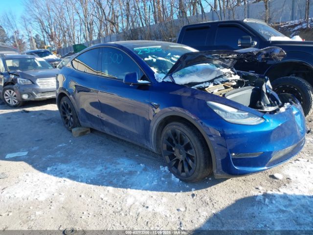 2021 TESLA MODEL Y 5YJYGDEE1MF199559
