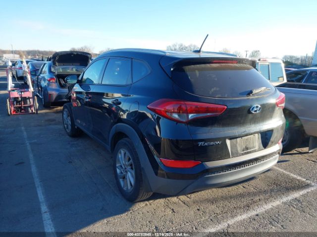 2017 HYUNDAI TUCSON KM8J33A43HU533149 Photo 2
