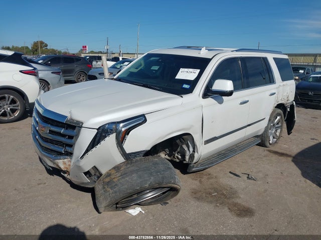 2016 CADILLAC ESCALADE 1GYS4BKJ0GR178635 Photo 1