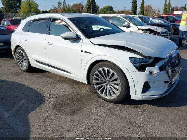 2019 AUDI E-TRON WA1VABGE3KB018994