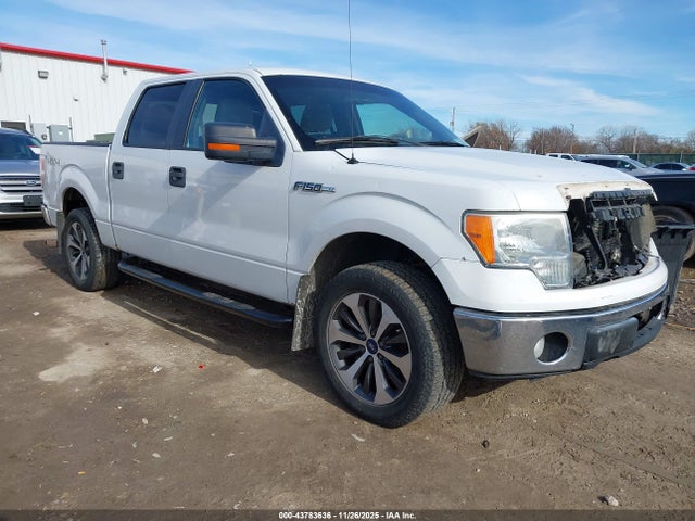 2010 FORD F-150 1FTFW1EV2AFD96109
