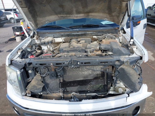 2010 FORD F-150 1FTFW1EV2AFD96109 Photo 9