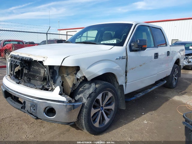 2010 FORD F-150 1FTFW1EV2AFD96109 Photo 1