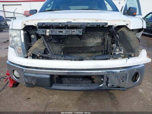 2010 FORD F-150 1FTFW1EV2AFD96109 Photo 5