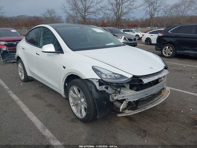 2022 TESLA MODEL Y 7SAYGDEE6NA013287 Photo 0
