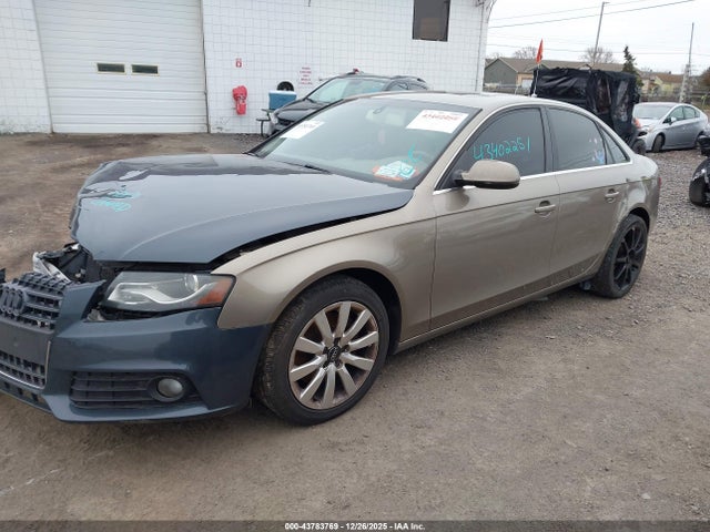 43783769 :رقم المزاد ، WAUEFAFL4AN055435 vin ، 2010 Audi A4 2.0t Premium مزاد بيع