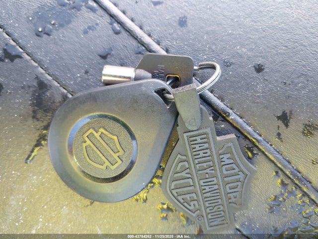 2021 HARLEY-DAVIDSON FLHXS 1HD1KRP10MB675065 Photo 10