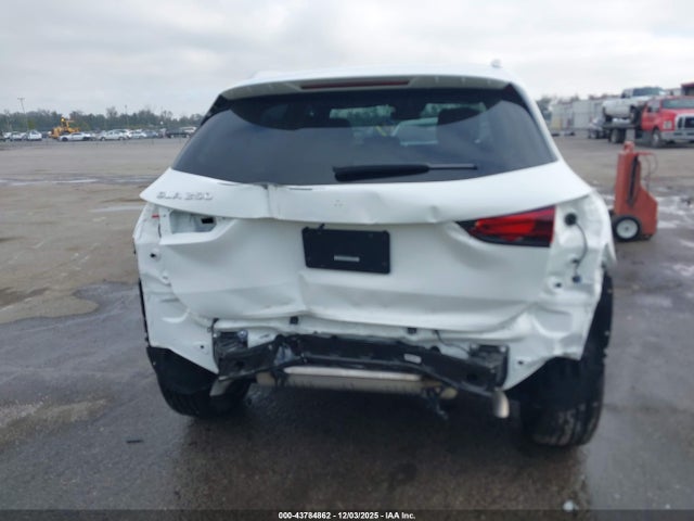 Продажа на аукционе авто 2025 Mercedes-benz Gla 250 4matic, vin: W1N4N4GB6SJ673303, номер лота: 43784862
