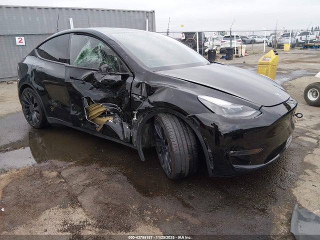 2023 TESLA MODEL Y 7SAYGDEF6PF744591 Photo 0