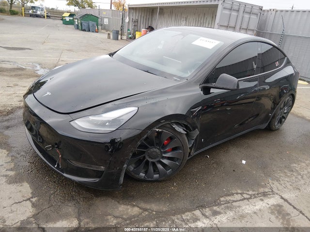 2023 TESLA MODEL Y 7SAYGDEF6PF744591 Photo 1