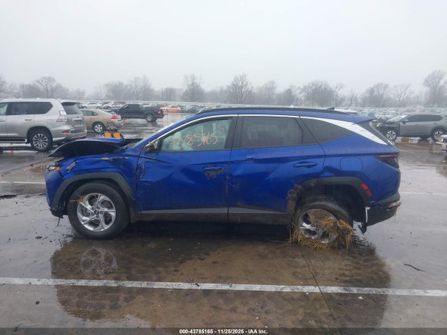 Hyundai TUCSON SEL 2023 5NMJBCAE2PH176844 Image 14