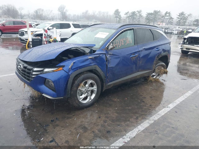 Hyundai TUCSON SEL 2023 5NMJBCAE2PH176844 Image 2