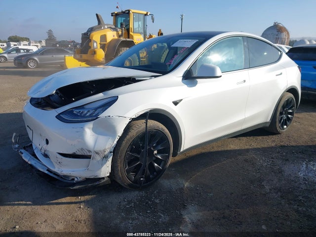 2020 TESLA MODEL Y 5YJYGDEE4LF019232 Photo 1