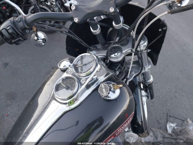 2006 HARLEY-DAVIDSON FXDLI 1HD1GN1106K309614 Photo 10