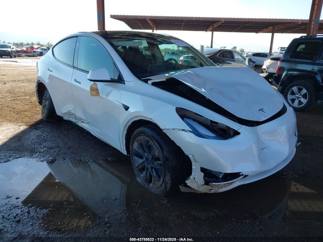 2024 TESLA MODEL Y 7SAYGDEE4RF163018 Photo 0