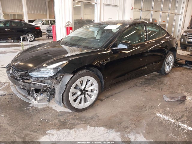 2023 TESLA MODEL 3 5YJ3E1EAXPF435447 Photo 1