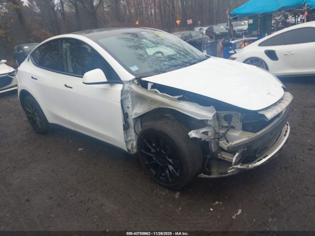 2020 TESLA MODEL Y 5YJYGDEE3LF041674