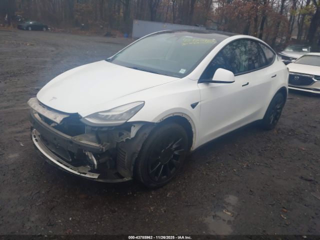 2020 TESLA MODEL Y 5YJYGDEE3LF041674 Photo 1
