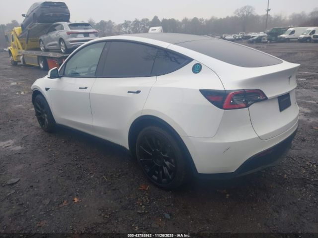 2020 TESLA MODEL Y 5YJYGDEE3LF041674 Photo 2