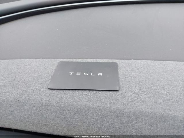 2025 TESLA MODEL 3 5YJ3E1EA9SF047201 Photo 10