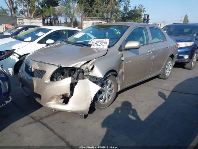 2010 TOYOTA COROLLA 2T1BU4EE6AC355500 Photo 1