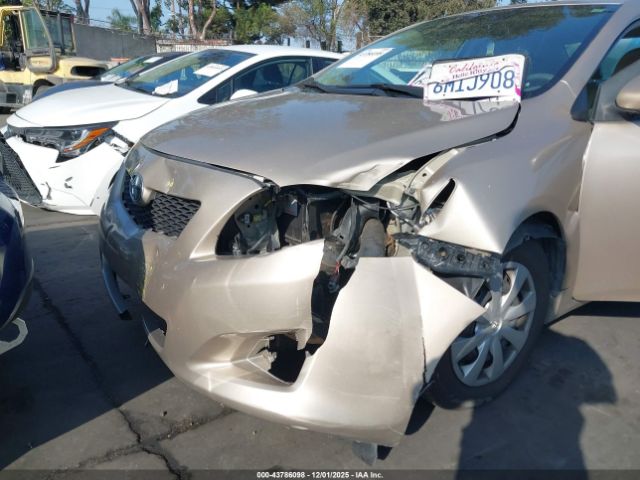 2010 TOYOTA COROLLA 2T1BU4EE6AC355500 Photo 5